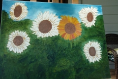 IMG_20170510_133023859