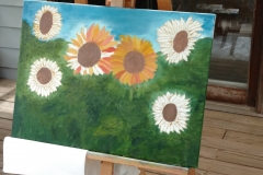 IMG_20170510_134602874