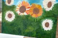 IMG_20170510_134641311_HDR