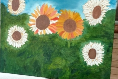 IMG_20170510_134642705_HDR